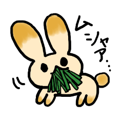 [LINEスタンプ] うさぎの小太郎 その1