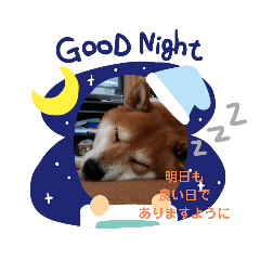 [LINEスタンプ] たのしい りき君 9
