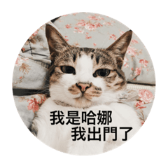 [LINEスタンプ] Hana’s cute cute cat life