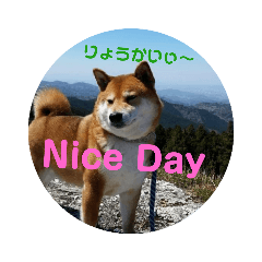[LINEスタンプ] たのしい りき君 8