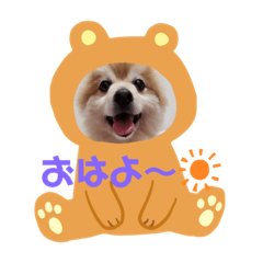 [LINEスタンプ] ポメラニアン☆クマタン