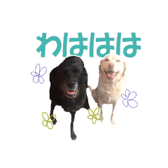 [LINEスタンプ] ちぇりーとここ
