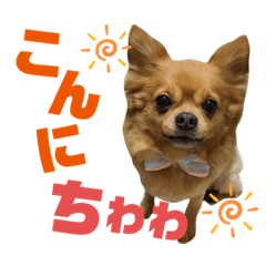 [LINEスタンプ] lufcobスタンプ②
