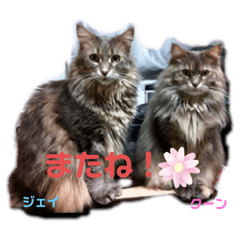 [LINEスタンプ] ジェイ♂＆クーン♀