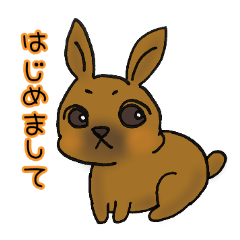 [LINEスタンプ] うちのうさぎ君