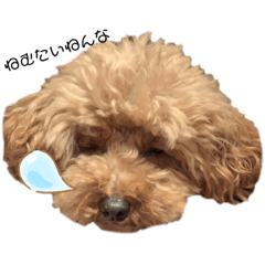 [LINEスタンプ] ティーちゃんアモちゃん