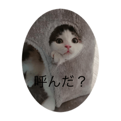 [LINEスタンプ] 仲良くなった8
