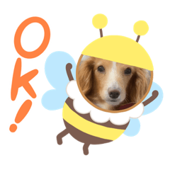 [LINEスタンプ] ピンキー＆リリ