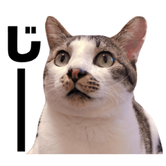 [LINEスタンプ] おれ、おれお