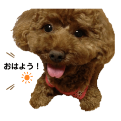 [LINEスタンプ] ルナスタンプ+α