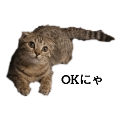 [LINEスタンプ] ミモザさんスタンプ2
