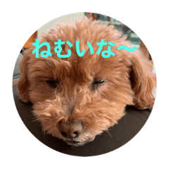 [LINEスタンプ] 愛犬なの
