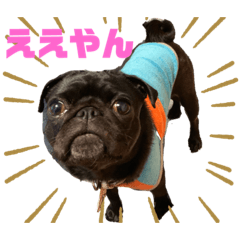 [LINEスタンプ] パグはPUG vol.7