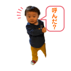 [LINEスタンプ] たいがどん