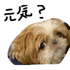 [LINEスタンプ] うちのポニョさん