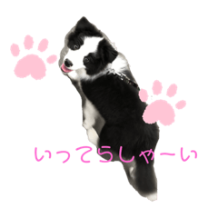 [LINEスタンプ] たむぅパート2