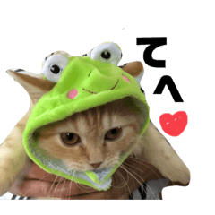 [LINEスタンプ] めいると愉快な仲間たち♡