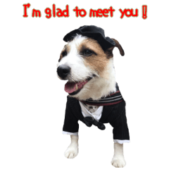 [LINEスタンプ] I love Jack Russell Terrier - English-