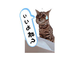 [LINEスタンプ] みやした シンバ