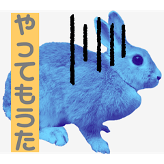 [LINEスタンプ] うさぎ6才 関西弁