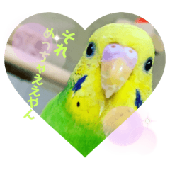 [LINEスタンプ] ジルさんと愉快な仲間たち2