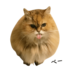 [LINEスタンプ] なんてかわいいやつらなんだ！