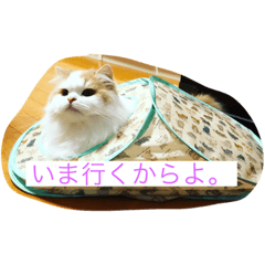 [LINEスタンプ] ゆるっとひなたちゃん