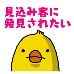 [LINEスタンプ] 保険屋Pちゃんの日常