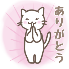 [LINEスタンプ] シロネコのけいちゃん