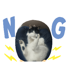 [LINEスタンプ] ぶち丸＆マールモ①