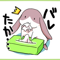 [LINEスタンプ] たれたれみみウサギ