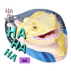 [LINEスタンプ] JURA's Stamps