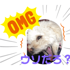 [LINEスタンプ] 私はラン子