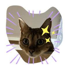 [LINEスタンプ] 勉三