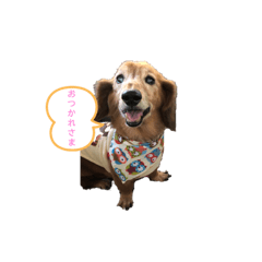 [LINEスタンプ] ファンファンLife