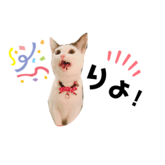 [LINEスタンプ] ぺっとすたんぷ_その2