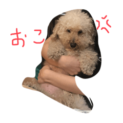 [LINEスタンプ] もかもかお