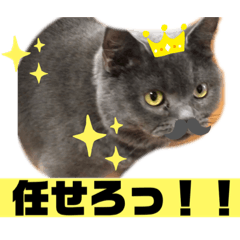 [LINEスタンプ] 華華のスタンプ