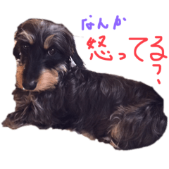 [LINEスタンプ] ロッティー2