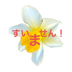 [LINEスタンプ] ダジャレおはな