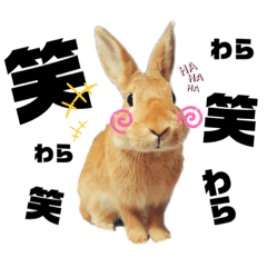 [LINEスタンプ] れんたま…0608