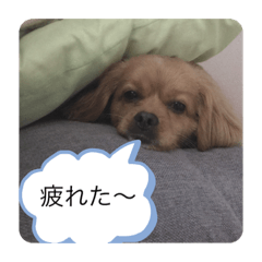 [LINEスタンプ] peki.peki