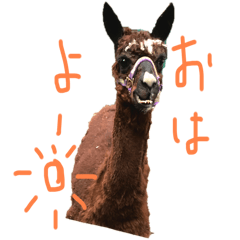 [LINEスタンプ] 日常のさまざま