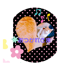 [LINEスタンプ] ねこのさんぽ