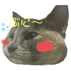 [LINEスタンプ] 大吉とてんちゃん②