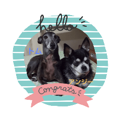 [LINEスタンプ] 我が家の愛犬  アンジーとトム09