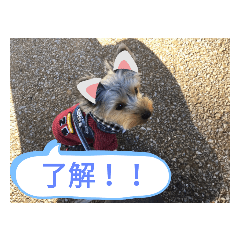 [LINEスタンプ] リリースタンプ第二弾