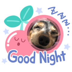 [LINEスタンプ] ミニチュアダックスはなちゃんの日常