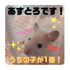 [LINEスタンプ] キンクマハムスターの"あすとろ"