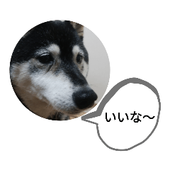 [LINEスタンプ] うらやまし～